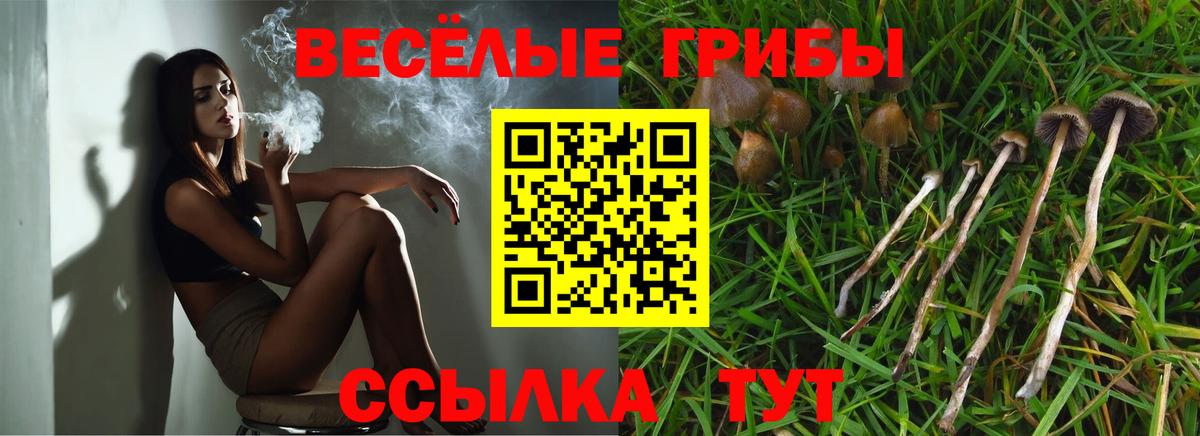 Псилоцибиновые грибы ЛСД Котовск