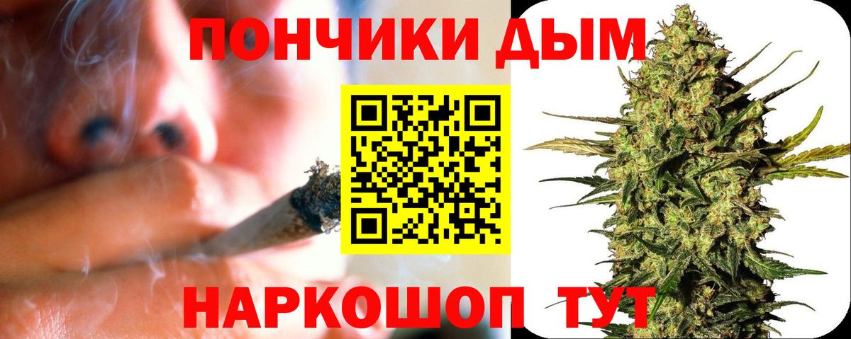 Каннабис сатива Котовск
